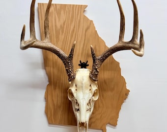 Georgia shaped European Mount plaque