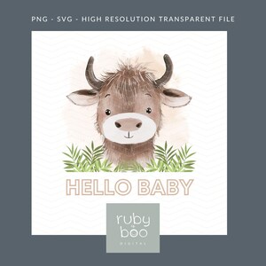 Hallo baby hooglandkoe neutrale png, nieuwe baby sublimatie ontwerp, babyshower, nieuwe babycadeau, hallo baby clipart, instant digitale download