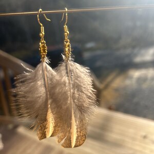 May include: A pair of feather earrings. The earrings have gold-coloured hooks and accents, with fluffy grey and brown feathers. The feathers have a natural, textured appearance, and the earrings are displayed against a blurred outdoor background.