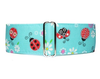Ladybug Martingale Collar Greyhound, Aqua, Satin Lined, Standard or Buckle Style, S-XL