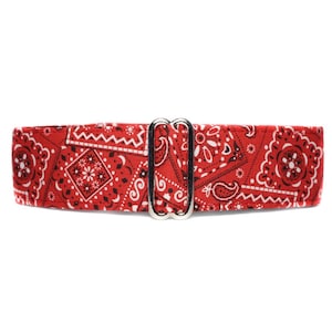 Red Bandana Martingale Dog Collar.  A classic red bandana fabric is a little bit country and lined with satin. Available in size small to extra large.