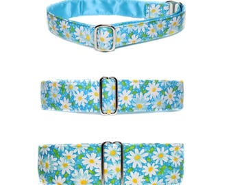 Teal Martingale Collar, Daisy, Satin Lined, Greyhound, Standard and Buckle Style, Size S-XL