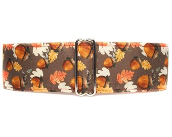 Fall Martingale Dog Collar, Satin Lined, Autumn Acorns, Standard or Buckle Style, S-XL
