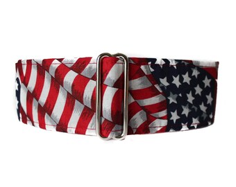 American Flag Martingale Collar, Stars and Stripes Martingale Collar, 4th of July Dog Collar