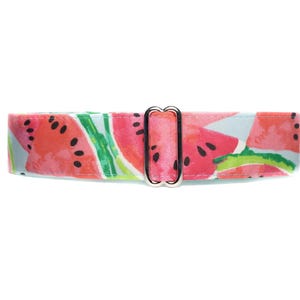 May include: A light blue dog collar with a watermelon print. The collar has a silver buckle.