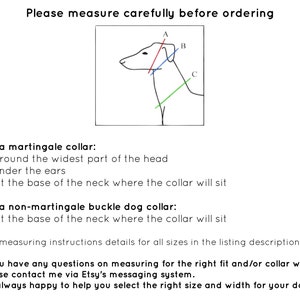 Martingale Dog Collar American Flag, Stars and Stripes Martingale Collar 1.5 Inch Martingale, 1.5 Inch Dog Collar, Greyhound Collar image 6