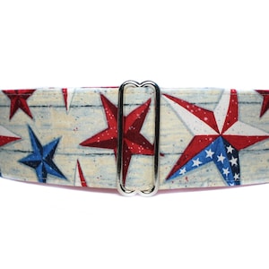 Martingale Dog Collar American Flag, Memorial Day Martingale Collar, 4th of July Dog Collar, Independence Day Martingale 2 Inch