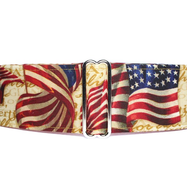 American Flag Martingale Dog Collar, Memorial Day Martingale Collar, Red White Blue, 4th of July, Memorial Day