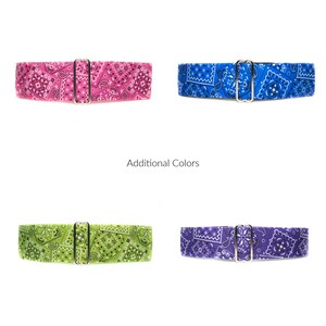 May include: Four different patterned dog collars with silver buckles. The collars are pink, blue, green, and purple.
