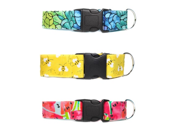 1.5 inch martingale dog collar online