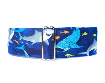 Shark Martingale Collar Greyhound, Shark Dog Collar, Blue Martingale Collar, 2 Inch Dog Collar, Blue Dog Collar