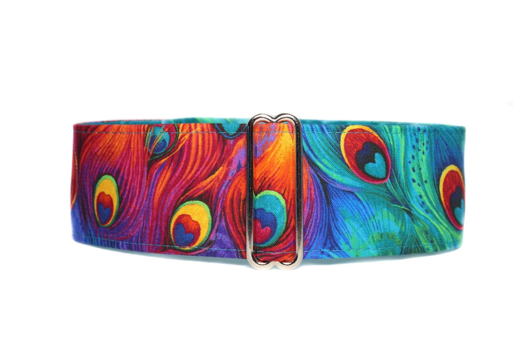 Peacock Martingale Dog Collar, Peacock Dog Collar, Rainbow Martingale