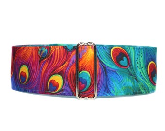 Peacock Martingale Dog Collar, Peacock Dog Collar, Rainbow Martingale Collar Greyhound, 2 Inch Dog Collar, LGBTQ Pride