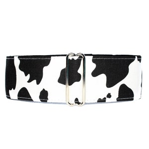 Cow Martingale Dog Collar, Standard or Buckle Style, Black and White, S-XL