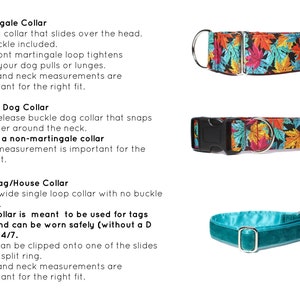 May include: Three different types of dog collars: a martingale collar with a colorful autumn leaf pattern, a buckle dog collar with the same pattern, and a solid teal house collar. The text describes the features of each collar type.