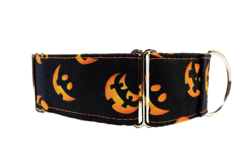 Halloween Martingale Collar 2 Inch Martingale Collar Pumpkin Etsy