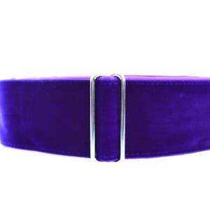 Purple Martingale Dog Collar, Velvet Martingale Collar, 2 Inch Martingale Collar, Velvet Dog Collar, Greyhound Collar, Sighthound Collar