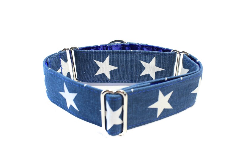 Blue Martingale Dog Collar Greyhound Martingale Collar Large Etsy