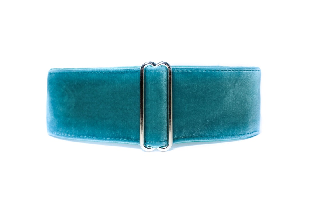 Teal Martingale Dog Collar, Velvet Martingale Collar, 1.5 Inch