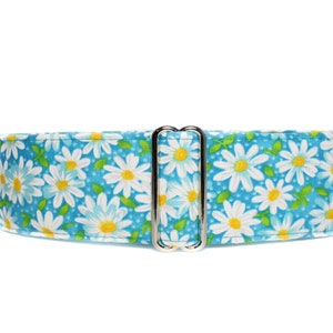 Teal Martingale Dog Collar 1.5 Inch, Teal Dog Collar, Daisy Martingale Collar,  Daisy Dog Collar, Huggable Hound Martingale Collars