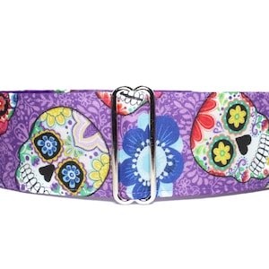 Skull Martingale Dog Collar 2 Inch, Purple Martingale Collar,  Girl Skulls Dog Collar, Greyhound Collar