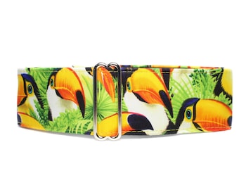 Toucan Martingale Dog Collar, Extra Large Martingale Collar, 2 Inch Martingale Collar