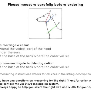 May include: Diagram showing how to measure a dog's neck for a martingale collar or a non-martingale buckle dog collar.  The diagram shows three different measurements labeled A, B, and C.  The text explains that measurement A is around the widest part of the head, measurement B is under the ears, and measurement C is at the base of the neck where the collar will sit.