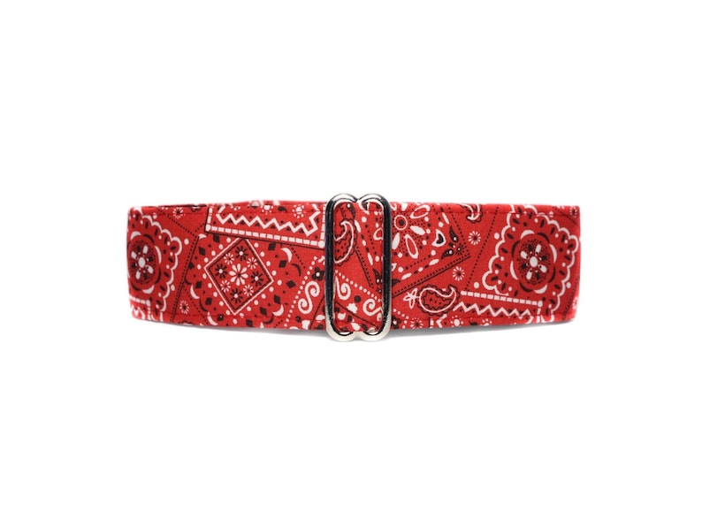 Red Bandana Martingale Dog Collar.  A classic red bandana fabric is a little bit country and lined with satin. Available in size small to extra large.