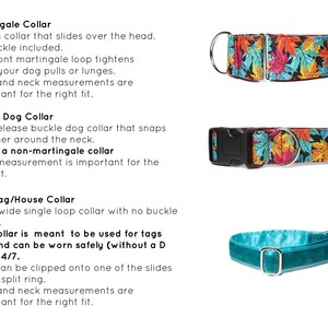 May include: Three different types of dog collars: a martingale collar with a colorful leaf print, a buckle collar with the same leaf print, and a solid teal house collar. The text describes the features of each collar.