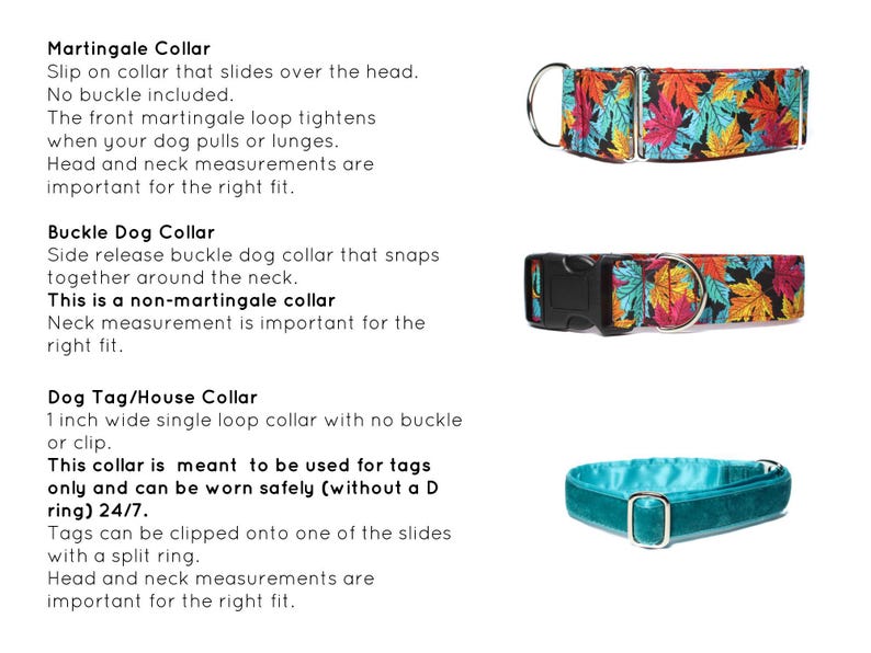 May include: Three different types of dog collars: a martingale collar with a colorful leaf print, a buckle collar with the same leaf print, and a solid teal house collar. The text describes the features of each collar.