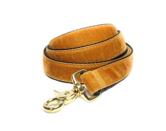 Velvet Dog Leash, Gold Lead, Amber, 4 feet, 5 feet, 6 feet