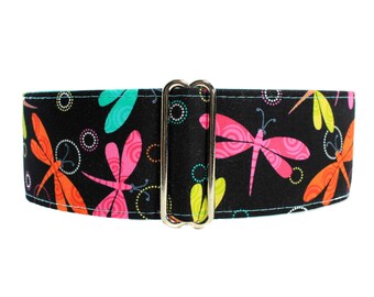 Black Martingale Collar Greyhound, Dragonfly Dog Collar, Dragonfly Martingale Dog Collar 2 inch