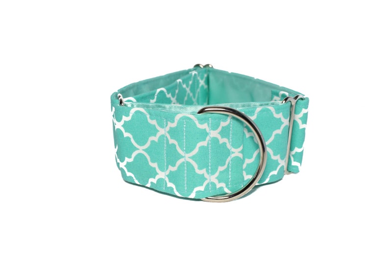 Teal Martingale Dog Collar 1.5 Inch Martingale Collar Etsy Italia