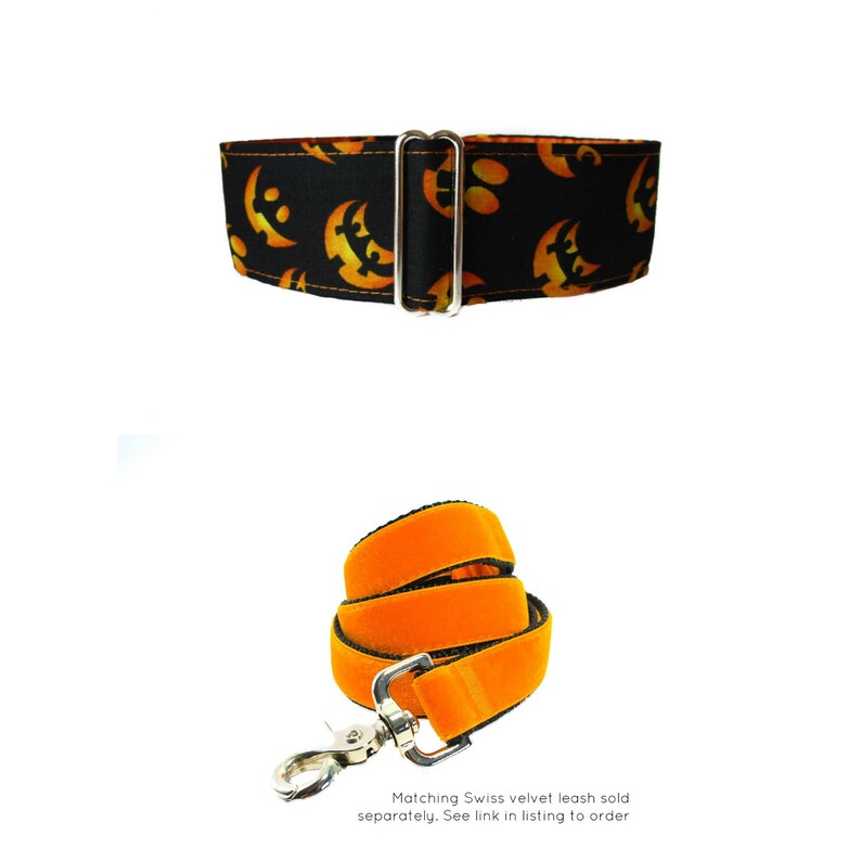 Halloween Martingale Collar 2 Inch Martingale Collar Pumpkin Etsy