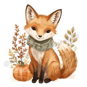 May include: A watercolour illustration of a small orange fox with a white chest and black paws, wearing a sage green knit scarf. The fox sits beside a round orange pumpkin and tall, thin, dried-looking brown branches and leaves.