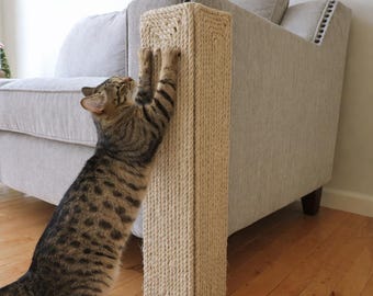 May include: A beige sisal rope cat scratching post attached to the corner of a light gray upholstered sofa. A brown tabby cat with dark stripes is standing on its hind legs and using its front paws to scratch the textured surface of the post.