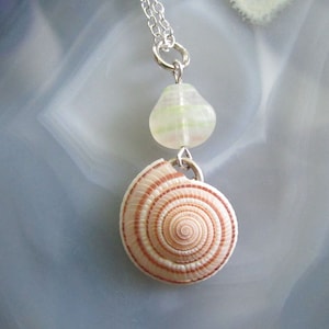 May include: A silver chain necklace with a white and green glass bead and a brown and white seashell pendant.