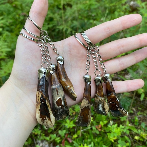 real bison teeth keychains | patina antiqued finish | oddity curiosity gothic primitive keys lanyard accessory