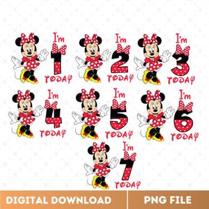Bundle Mouse Birthday Girl Family Png, Happy Birthday Png, Birthday Squad, Family Bundle Birthday Girl Png, Digital File