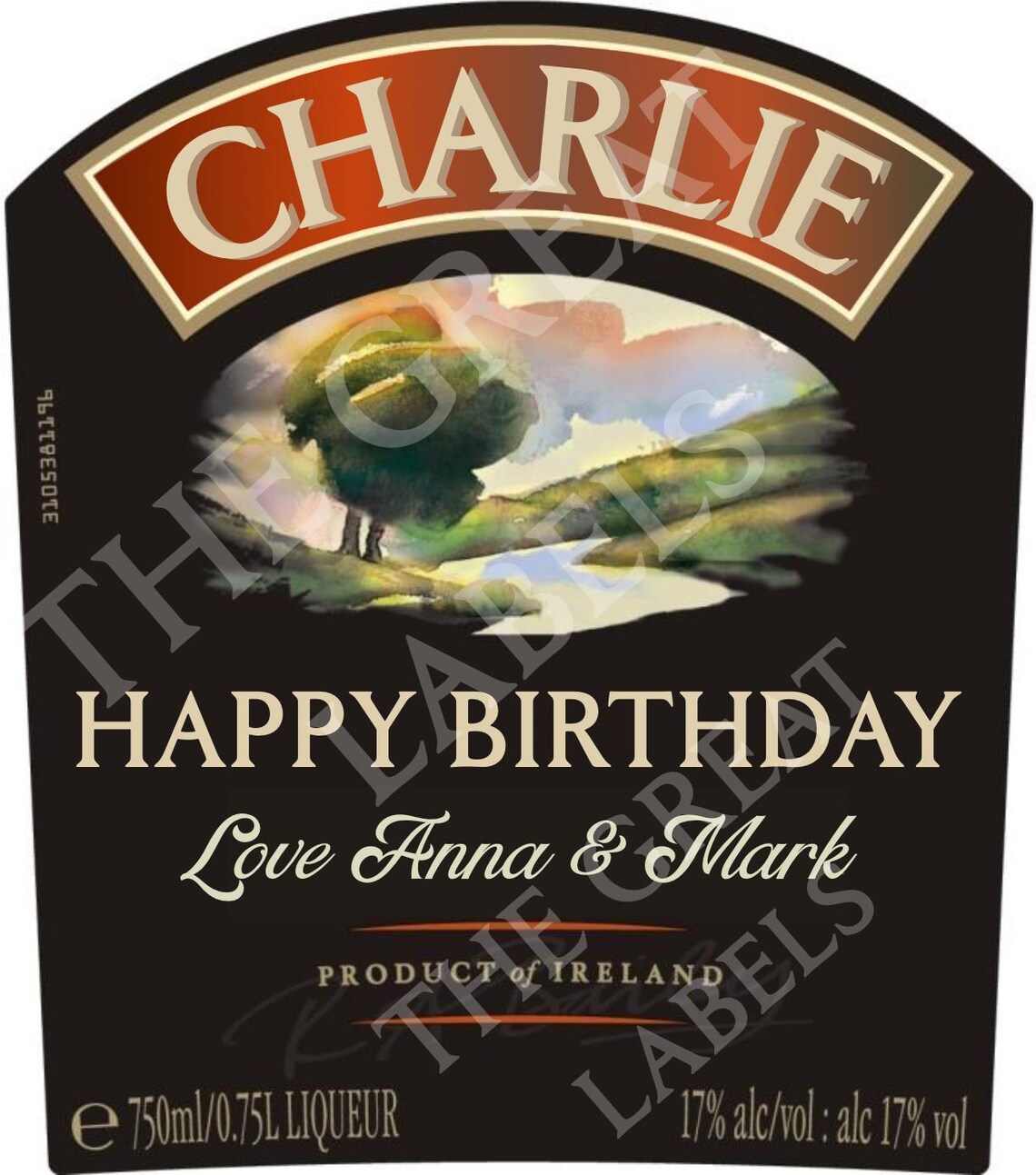 Editable Baileys Label Template: Custom Party Favor (canva, Instant ...