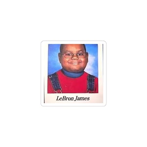 Kiss-Cut Stickers, Funny Lebron James School Photo Meme Sticker Decal for laptop, Hydro Flask, Yeti, phone case, car, water bottle
