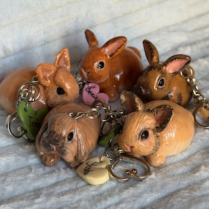 Puede incluir: Cinco pequeñas figuras de conejo pintadas a mano unidas a llaveros de metal plateado. Cada conejo presenta tonos de pelaje marrón y poses distintos. Los llaveros incluyen dijes en forma de corazón, algunos con los nombres Toshi, Berik y Joshi grabados.
