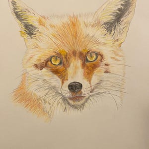 Fox Greeting Card - Blank Card from the Fox - Foxy Card