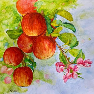 Washington Apples - Apfelblüte Grußkarte - Blanko Karte