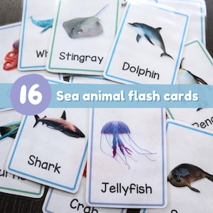 Sea Animal Flash Cards Printable | Real Life Ocean Animal Photos | Montessori Marine Matching Game | Toddler Learning | Preschool Activity
