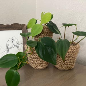 May include: A square wooden frame with a scalloped edge containing a black and white line drawing of two birds perched on a branch, accompanied by three small potted plants in textured, woven tan jute covers with heart-shaped green leaves.