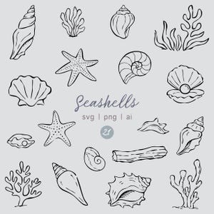 Muscheln & Koralle Line Art Clipart Bundle, SVG PNG AI, minimalistische Küsten Illustrationen, Strand Hochzeitsdeko