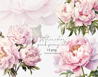 Aquarell Rosa Pfingstrose Clipart Set: Blush Floral PNG (Digital Download)