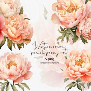 Set di clipart PNG di peonie ad acquerello, peonie pesca, bouquet di peonie ad acquerello, fiori digitali, design a sublimazione.