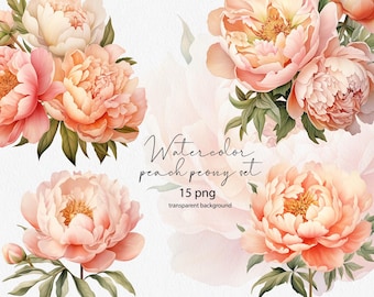 Aquarell Pfingstrose Clipart Set: Pfirsich Blumen PNG Bilder (Digitaler Download)